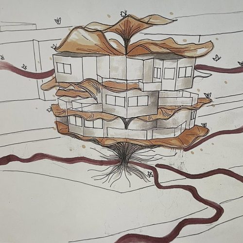 499705097_10162047818051693_5042187471081066294_n